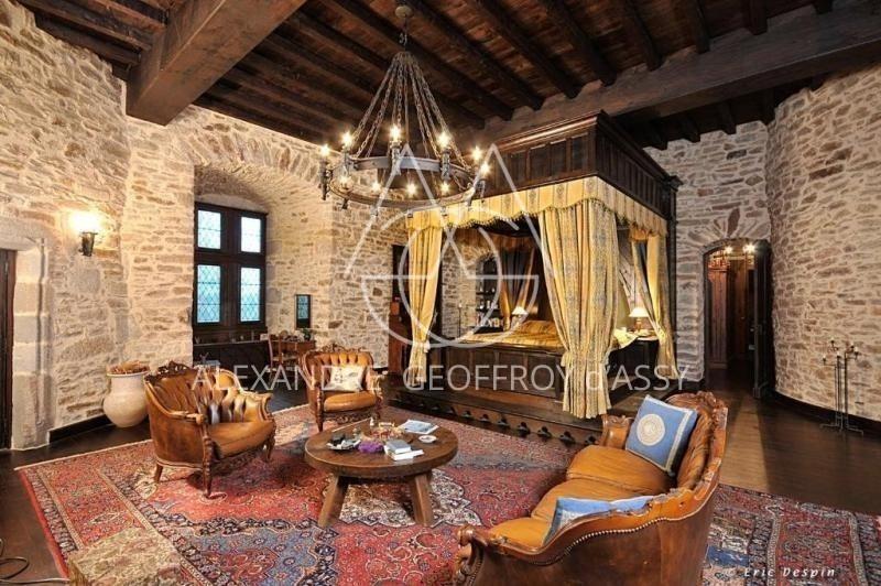 Château - 3 500 m² - 30 pièces