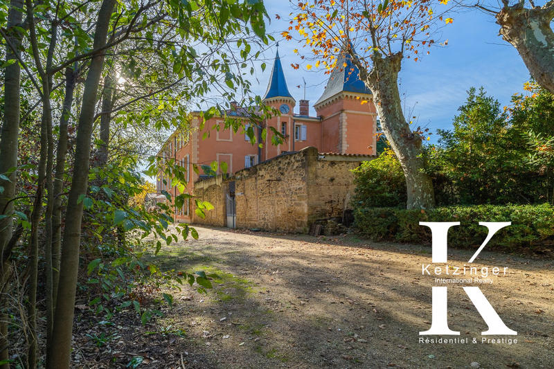 Château - 1 450 m² - 28 pièces