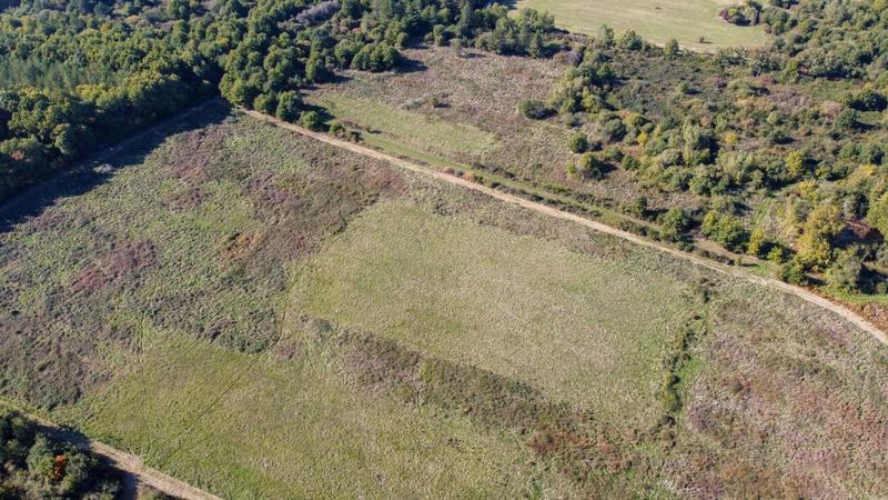 Forêt - 223 455 m²