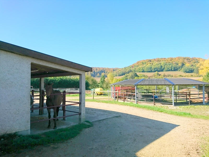 Maison - 237 m² - 8 pièces