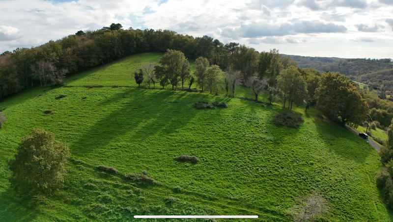 Terrain - 62 315 m²