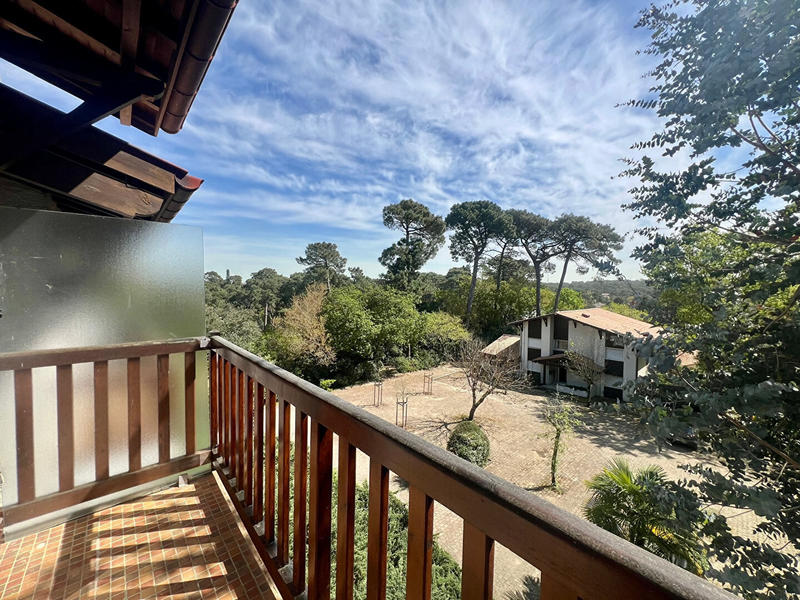 Appartement - 54 m² - 2 pièces