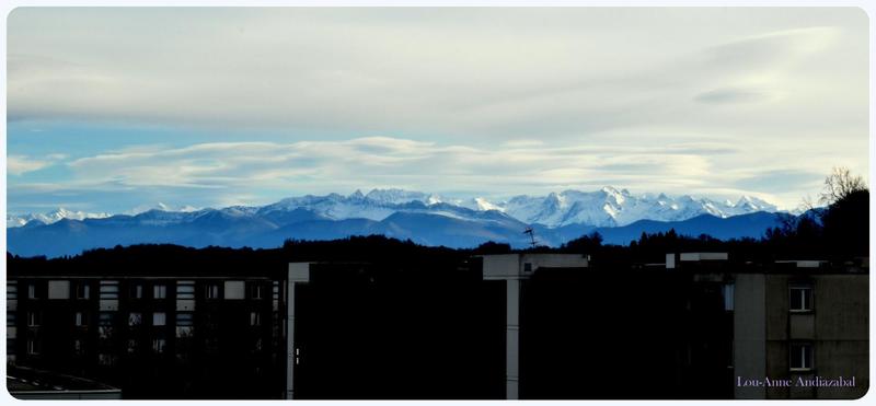 Appartement - 89 m² - 5 pièces