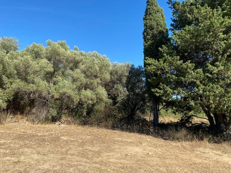 Terrain constructible - 431 m²