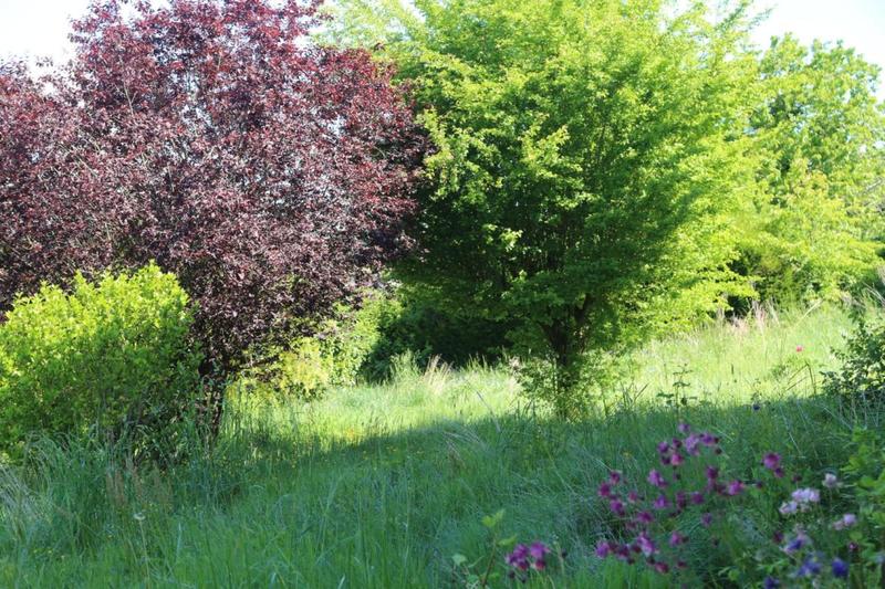 Maison de village - 130 m² - 6 pièces