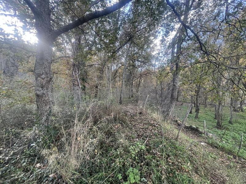 Terrain constructible - 2 000 m²