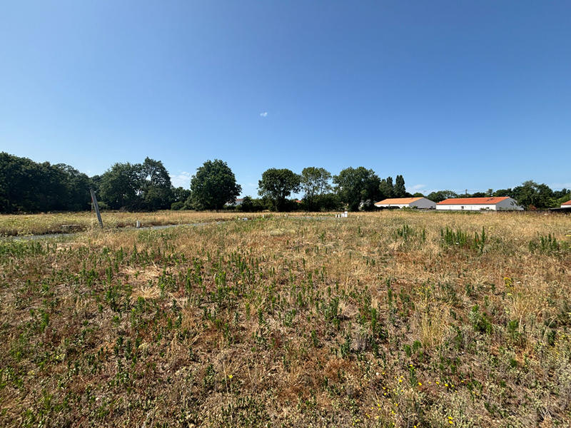 Terrain - 408 m²
