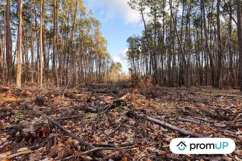 Terrain de loisirs - 1 570 m²