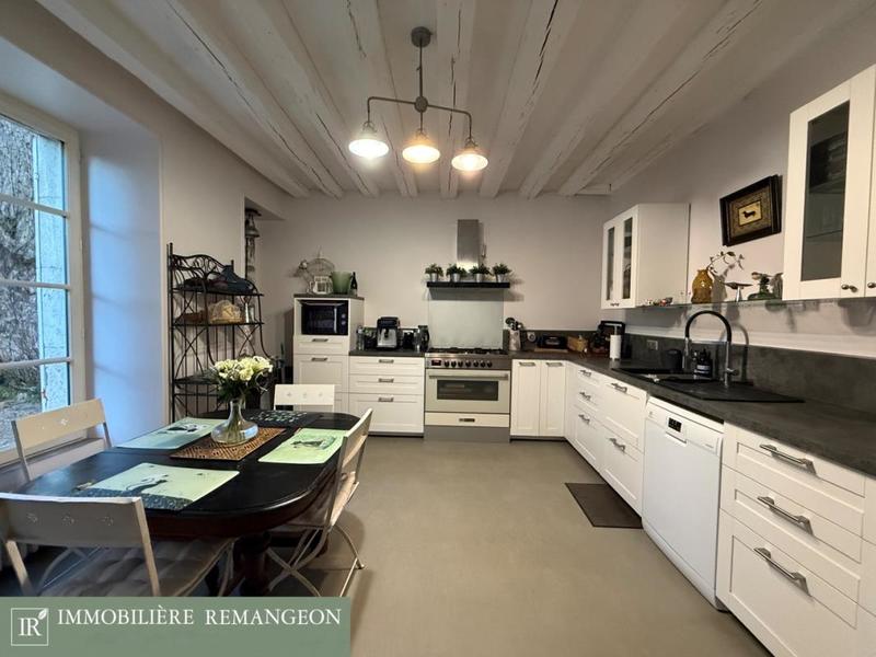 Maison de maîtres - 400 m² - 12 pièces