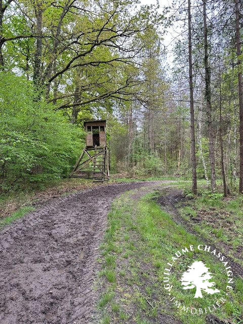 Maison traditionnelle - 400 m² - 12 pièces