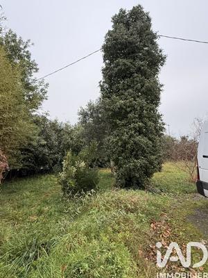 Terrain - 711 m²