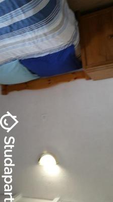 Chambre - 20 m² - 1 pièce