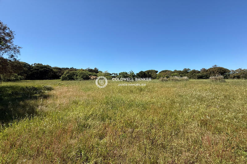 Propriété - 780 m² - 8 pièces