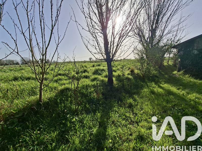 Maison de campagne - 70 m² - 4 pièces