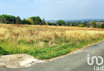 Terrain - 11 884 m²