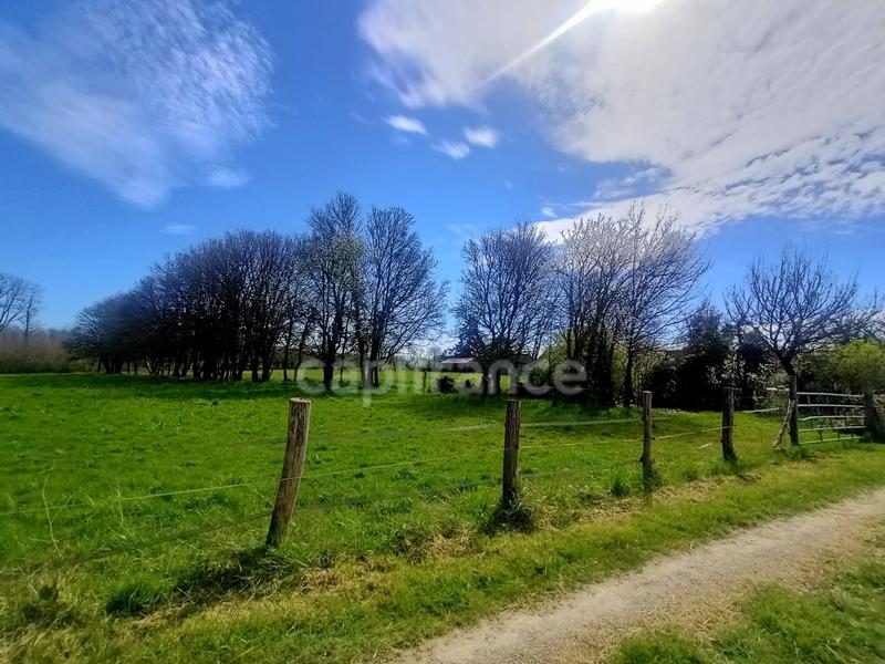 Maison - 268 m² - 7 pièces