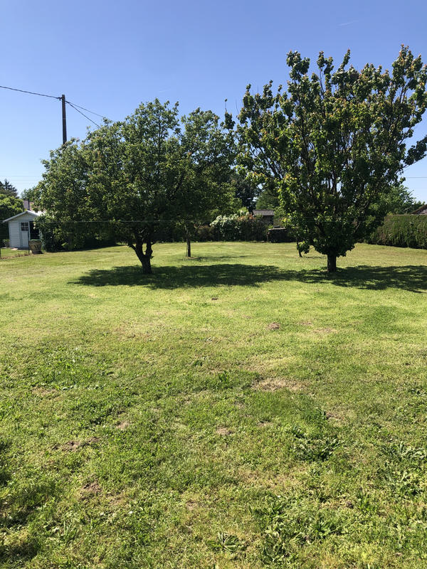 Maison - 120 m² - 3 pièces