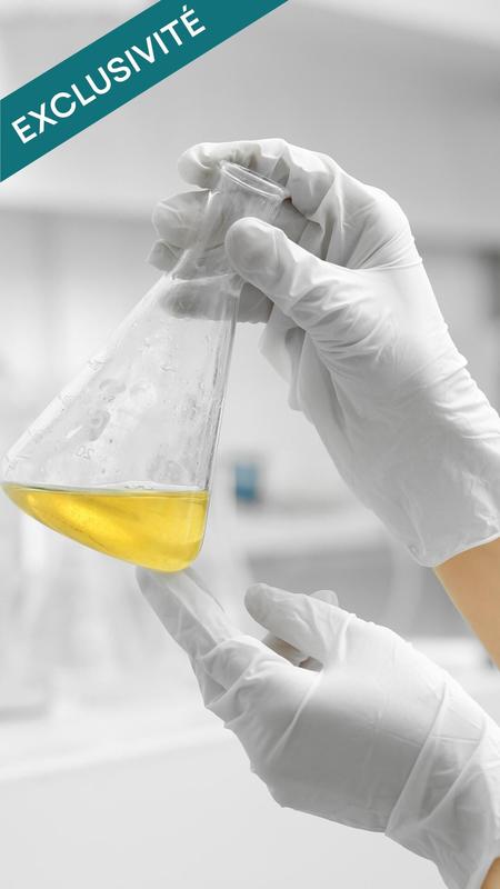 Bureau - 390 m² - 15 pièces