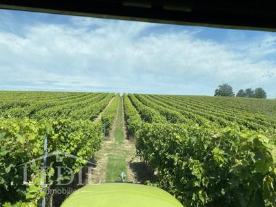 Terrain - 400 000 m²