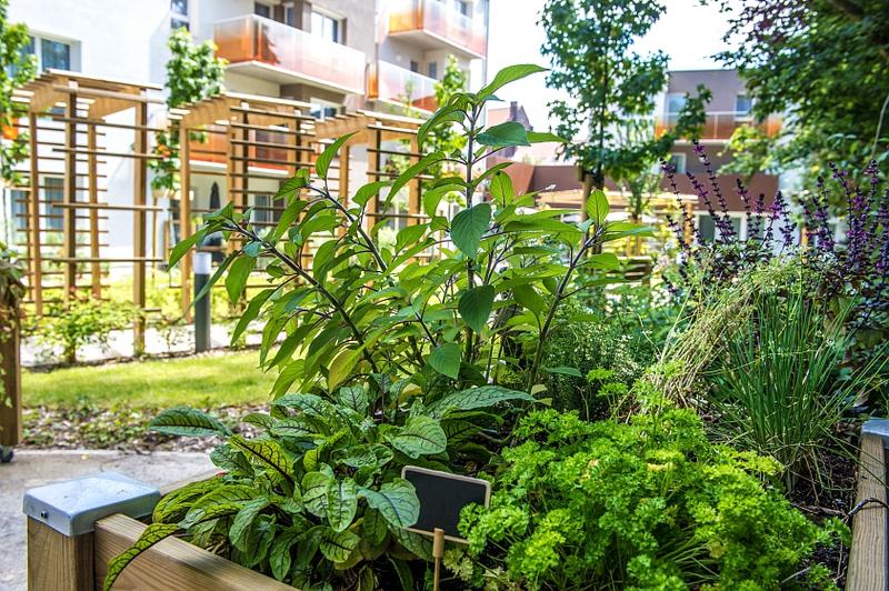 Appartement - 43 m² - 2 pièces