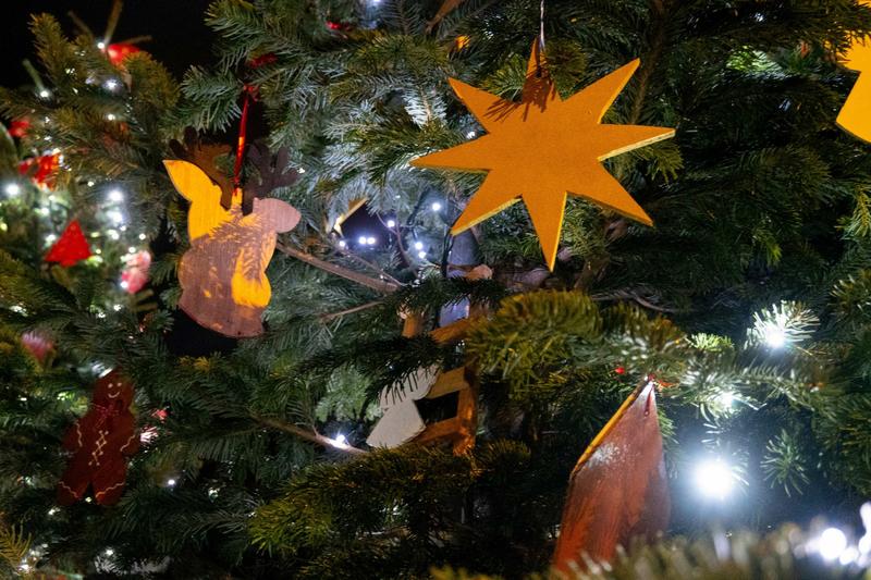 Conte théâtralisé : au pays des sapins