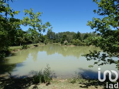 Terrain - 22 944 m²