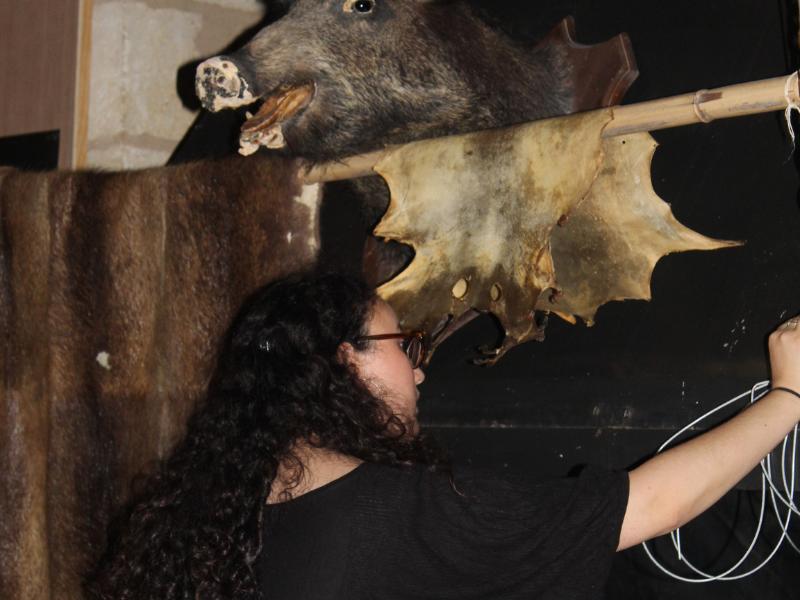 Grand jeu d'Halloween à Terres d'oiseaux