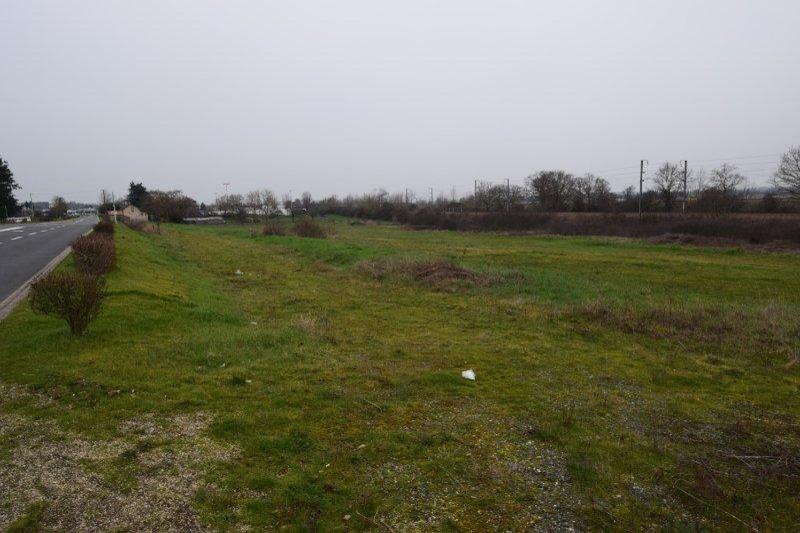 Terrain - 15 692 m²