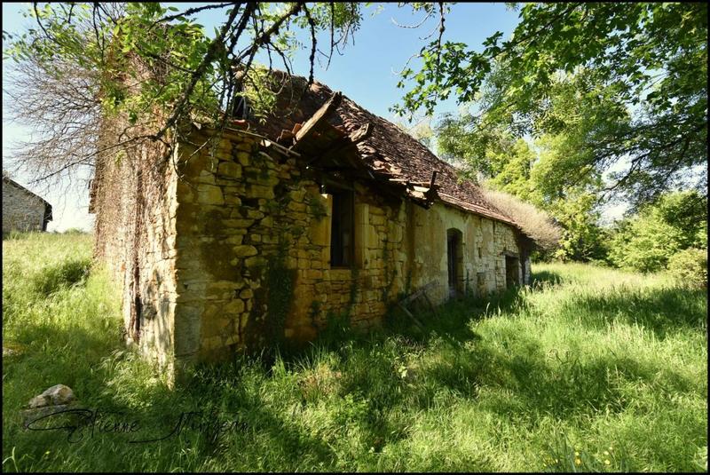 Ferme - 160 m² - 3 pièces