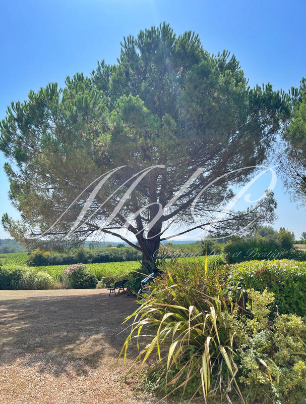 Maison de campagne - 360 m² - 11 pièces