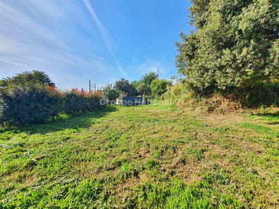 Terrain - 537 m²