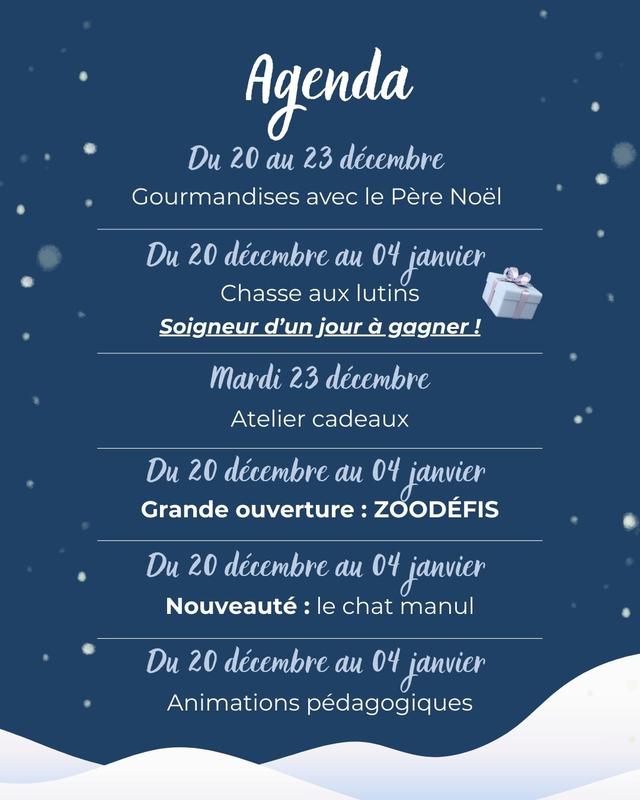 Noël au Spaycific'zoo !