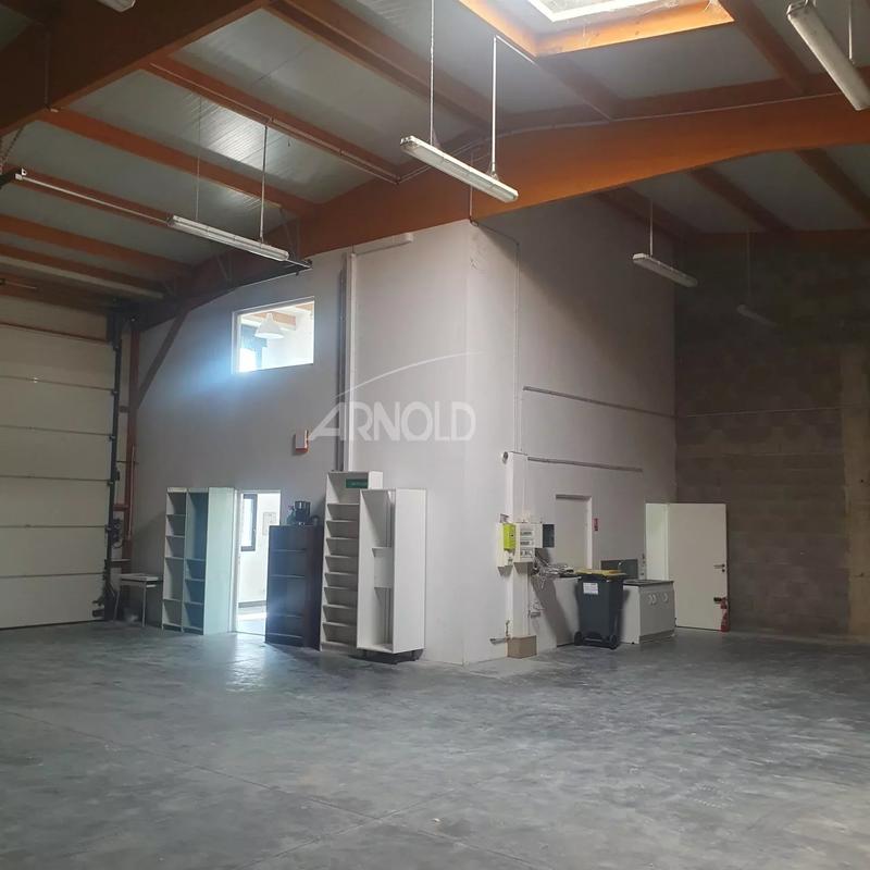 Entrepôt - 260 m² - 5 pièces