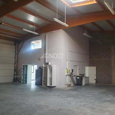 Entrepôt - 260 m² - 5 pièces