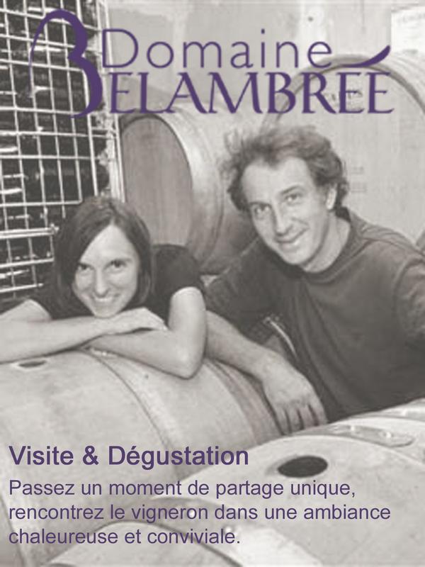 Visite découverte du Domaine de Belambrée