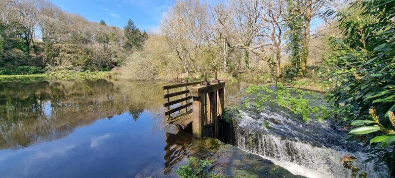 Maison - 300 m² - 10 pièces