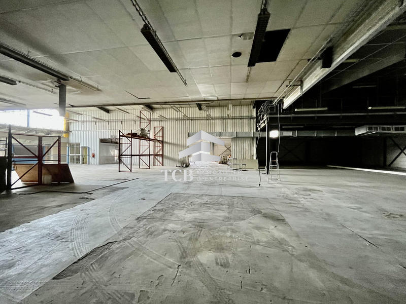 Local d'activités - 1 850 m²