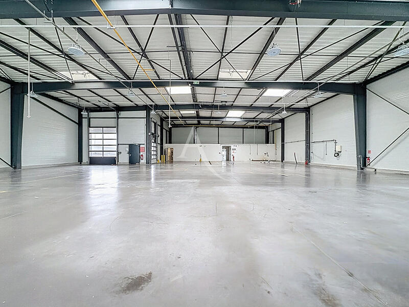 Local d'activité / Entrepôt - 807 m²