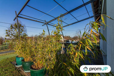 Maison - 90 m² - 5 pièces