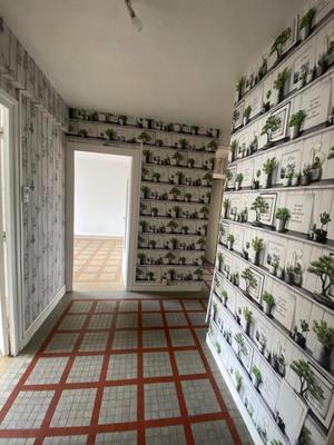 Appartement - 53 m² - 2 pièces