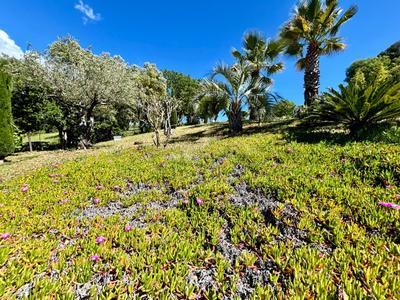 Maison - 156 m² - 6 pièces