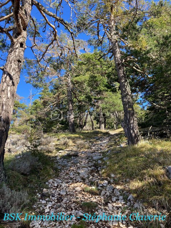 Terrain agricole - 10 100 m²