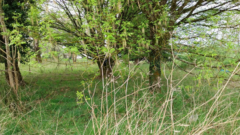 Maison de village - 73 m² - 5 pièces