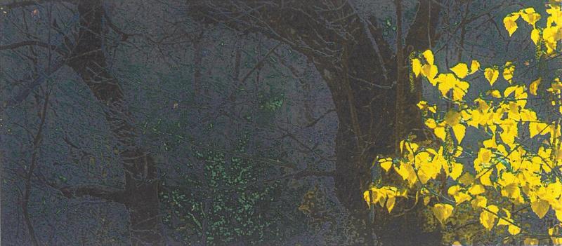 Exposition - Patrick Kuhn le réel etcetera