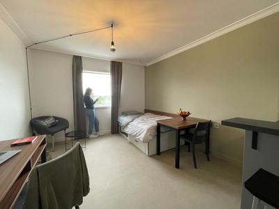 Appartement - 22 m² - 1 pièce