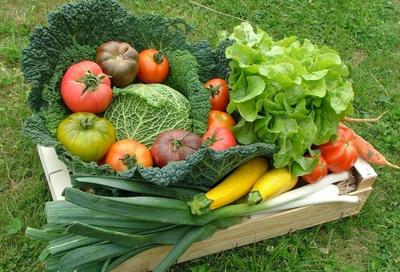 Les Serres au Comptoir