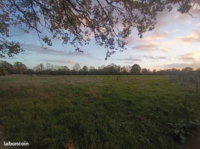 Terrain constructible - 846 m²