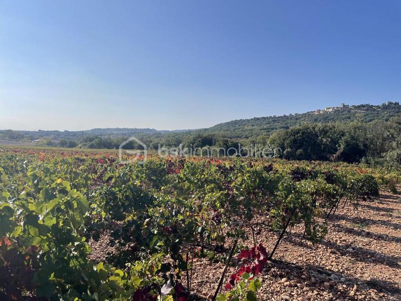 Terrain agricole - 45 000 m²