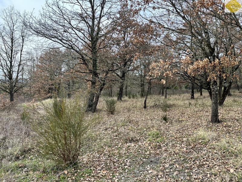 Terrain de loisirs - 4 930 m²