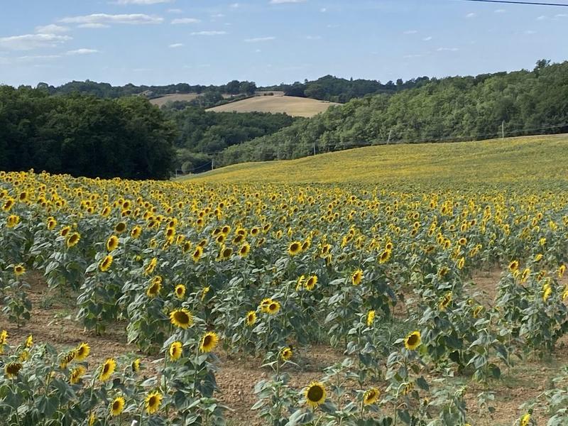 Propriété - 191 m² - 16 pièces